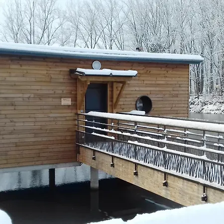Holiday home Confortables En Bord D'etang Avec Terrasse, Parc, Activites Et Optionnel ! - Fr-1-496-77 Veauchette