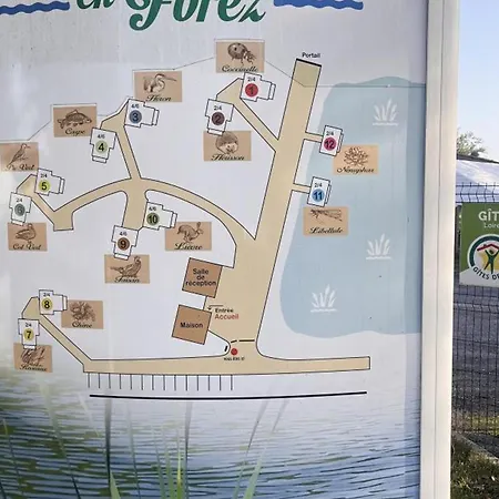 Insolite Au Bord D'un Etang, Animaux Acceptes, Terrasse Privative - Fr-1-496-77 *