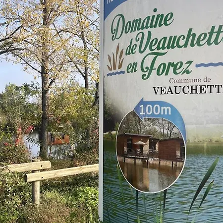 컨트리하우스 Insolite Au Bord D'un Etang, Animaux Acceptes, Terrasse Privative - Fr-1-496-77 Veauchette